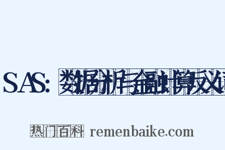 SAS:数据分析与金融计算反义词是什么意思的图片